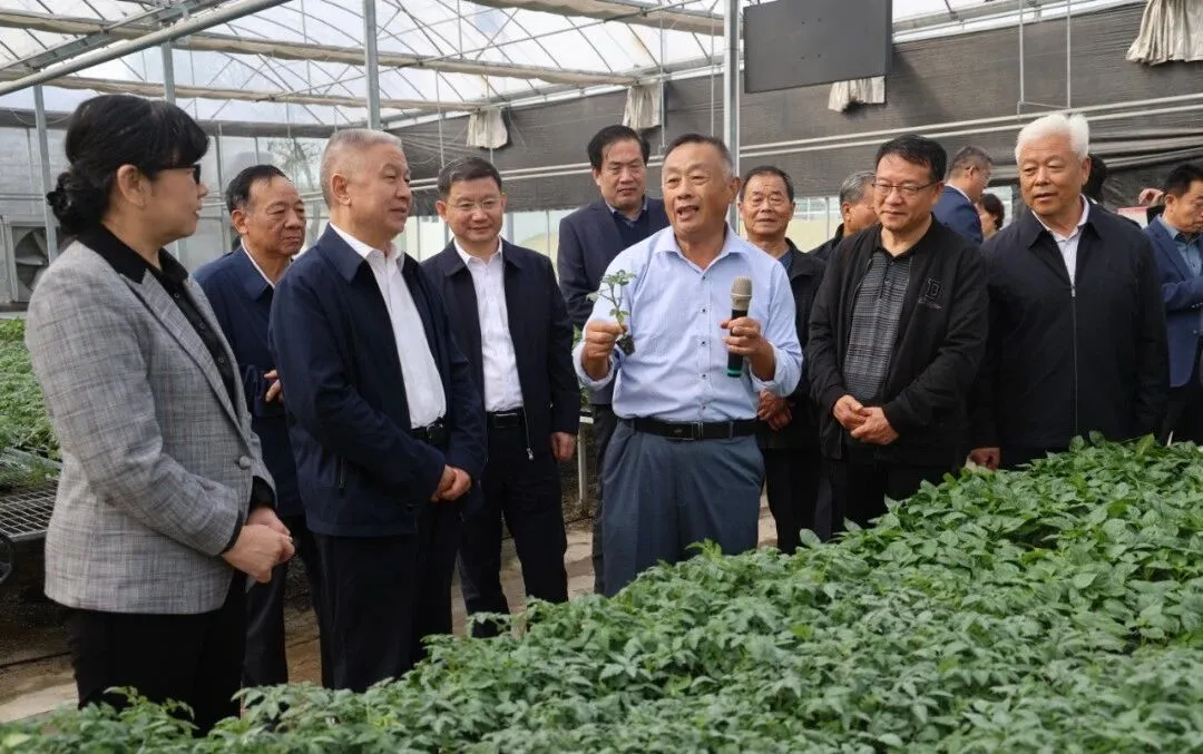 山东省枣庄市关工委举办“五老”助力乡村振兴现场观摩会