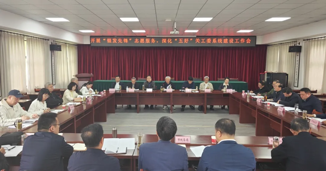 湖北省孝感市开展“银发先锋”志愿服务  深化“五好”关工委系统建设工作会召开