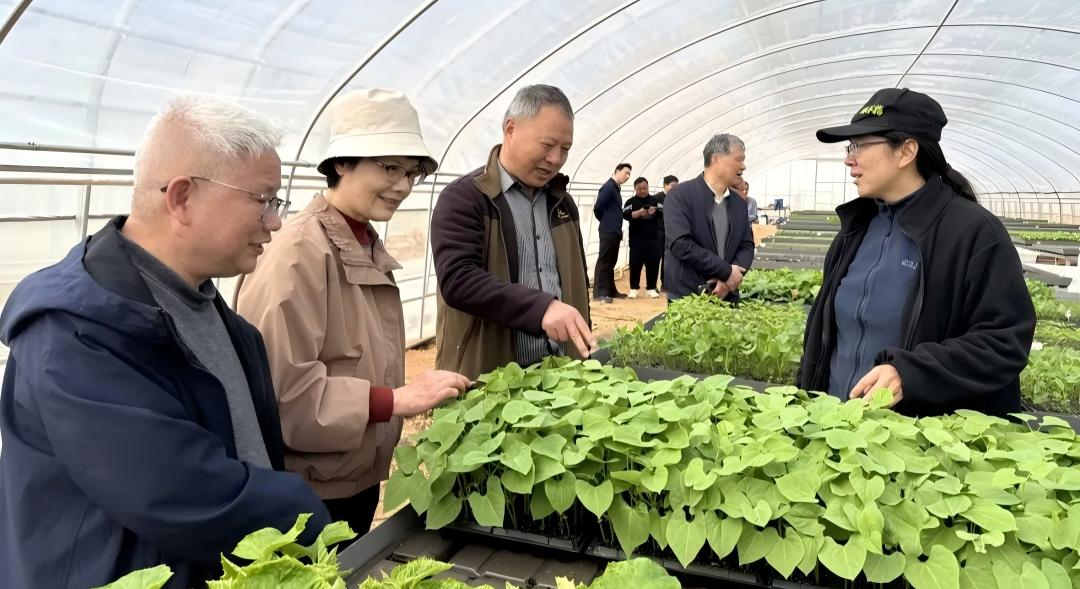 浙江省衢州市关工委：完善“银助新农人”体系 助力青年入乡返乡成长
