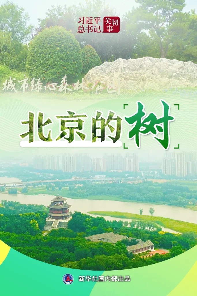 1760059438883696.jpg 20251010_092254_000.jpg