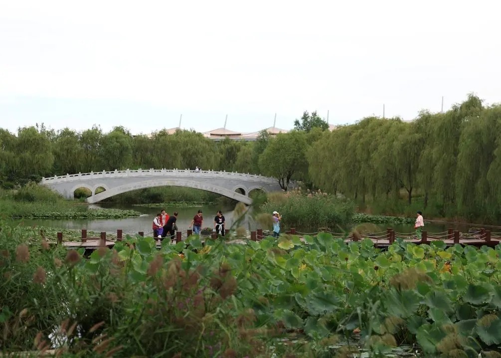 1760059509583089.jpg 20251010_092254_002.jpg