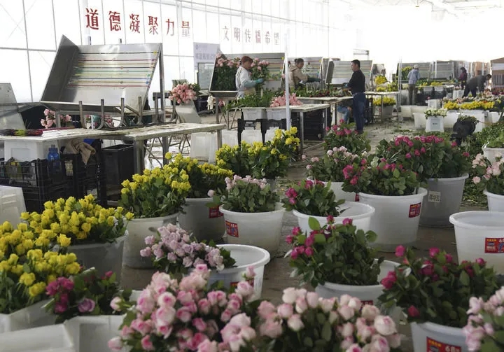 1761099103583984.jpg 20251022_100137_005.jpg