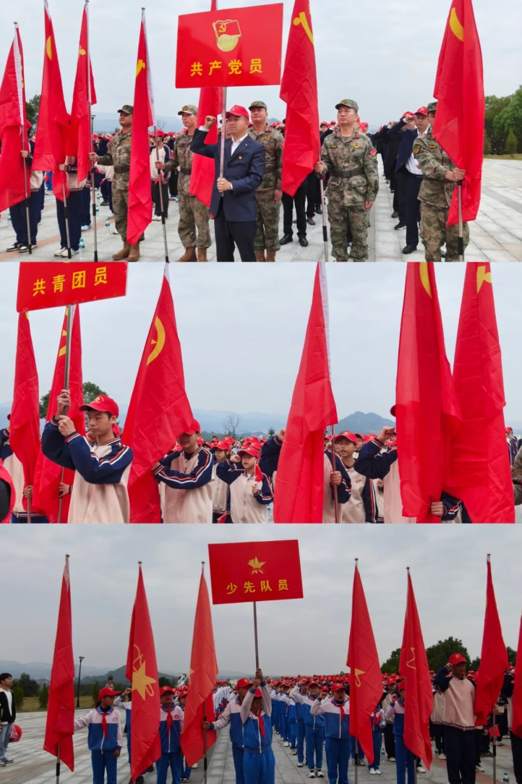 1762225139432253.jpg 20251104_105528_015.jpg