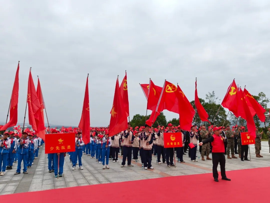 1762225256664383.jpg 20251104_105528_022.jpg