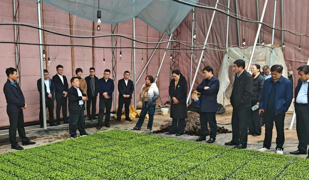 1762398648269340.jpg 2.jpg