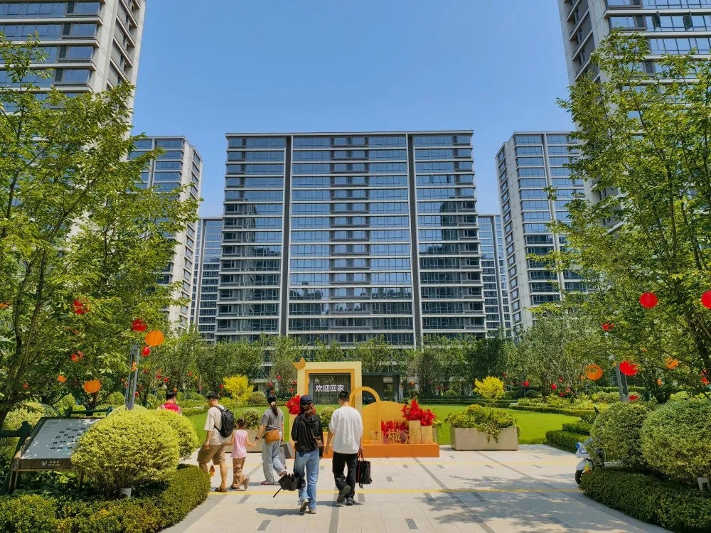 1765418803206505.jpg 20251211_095655_006.jpg