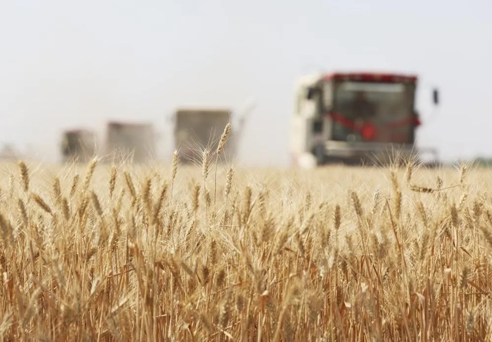 1776304112865725.jpg 20260416_094611_002.jpg